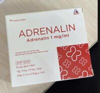 Thuốc Adrenalin 1mg/1ml – Thuốc hồi sức cấp cứu (Hộp 2 vỉ x 5 ống x 1ml)