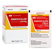 Thuốc Amoxicillin 250 mg Imex – Thuốc điều trị kí sinh trùng, chống nhiễm khuẩn (Hộp 12 gói)