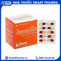 Thuốc Amoxicillin 500mg Brown Burk điều trị nhiễm khuẩn (10 vỉ x 10 viên)
