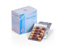 Thuốc Amoxicillin 500mg Domesco điều trị nhiễm khuẩn (10 vỉ x 10 viên)