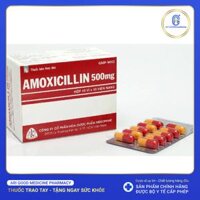 Thuốc Amoxicillin 500mg Mekophar điều trị nhiễm khuẩn (10 vỉ x 10 viên)