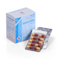 Thuốc Amoxicillin 500mg Domesco điều trị nhiễm khuẩn (10 vỉ x 10 viên)