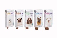 Thuốc Bravecto trị ghẻ, viêm da, ve rận chó