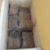 thuốc cá xay diệt cá diệt sâu bọ 3kg