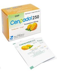Thuốc Cenpadol 250mg (Paracetamol 250) TW3/16 – Giúp giảm đau, hạ sốt (Hộp 20 gói x 1,5g)