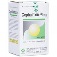 Thuốc Cephalexin 250mg Vidipha điều trị nhiễm khuẩn