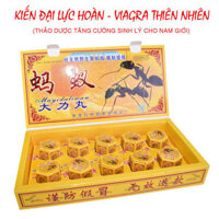 Thuốc Cường Dương Kiến Càng Đen Tây Tạng
