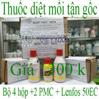 Thuốc diệt mối sinh học, diệt mối không độc hại, an toàn, địa chỉ bán tại Hà nội