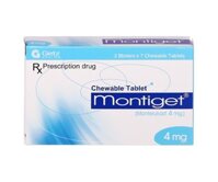 Thuốc dự phòng và điều trị hen suyễn mạn tính Montiget 4mg (2 vỉ x 7 viên/hộp)