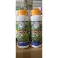 THUỐC DƯỠNG HOA ĐẬU TRÁI
