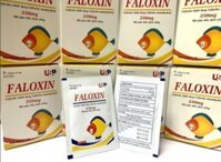 Thuốc Faloxin 250mg (Cefaclor 250mg) USP/16 – Điều trị nhiễm khuẩn (Hộp 10 gói)