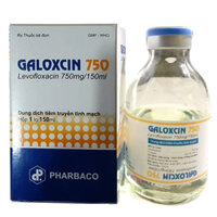 Thuốc Galoxcin 750, điều trị nhiễm khuẩn do các vi khuẩn nhạy cảm với Levofloxacin