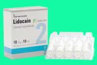 Thuốc Gây Tê Lidocain Egis – Hiệu Quả Nhanh, An Toàn, Chính Hãng Tại ThuocTotGiaSi.com