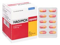 Thuốc Hagimox Capsules 500mg (Amoxicillin) DHG điều trị nhiễm khuẩn (10 vỉ x 10 viên)