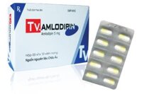 THUỐC HUYẾT ÁP TV – AMLODIPINE 5MG