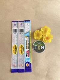 Thước kẻ dẻo WinQ 20cm
