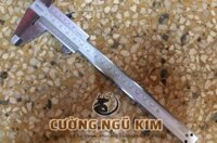 THƯỚC KẸP MITUTOYO 150MM 530-104