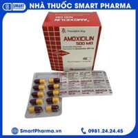 Thuốc kháng sinh AMOXICILIN 500mg Mebiphar điều trị nhiễm khuẩn ( Hộp 10 vỉ x 10 viên)
