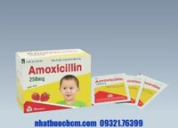 Thuốc kháng sinh AMOXICILLIN 250mg gói