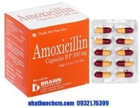 Thuốc kháng sinh AMOXICILLIN 500mg
