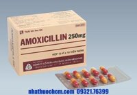 Thuốc kháng sinh AMOXICILLIN 250mg viên