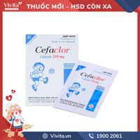 Thuốc kháng sinh Cefaclor 250mg l Hộp 10 gói
