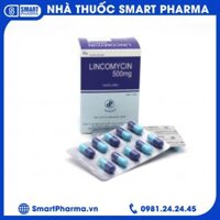 Thuốc kháng sinh Lincomycin 500mg Pharbaco điều trị nhiễm khuẩn ( Hộp 10 vỉ x 10 viên)