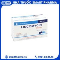 Thuốc kháng sinh LINCOMYCIN 500mg (Armephaco) điều trị nhiễm khuẩn hộp 10 vỉ x 10 viên
