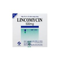 Thuốc kháng sinh trị nhiễm khuẩn Lincomycin Vidipha 500mg | Hộp 100 viên