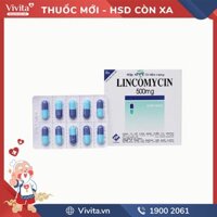 Thuốc kháng sinh trị nhiễm khuẩn Lincomycin 500mg | Hộp 100 viên