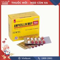 Thuốc kháng sinh trị nhiễm khuẩn Ampicilin MKP 500 | Hộp 100 viên