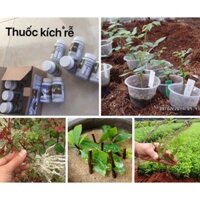 Thuốc kích rễ đài Loan