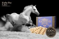 THUỐC NHAU THAI NGỰA ĐUA HORSE PLACENTA VIS