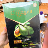 Thuốc Nhuộm Phủ Bạc Collagen Bơ  Nâu Hạt Dẻ / Đen Tự Nhiên 500mlx2 - SSPB086