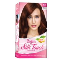 Thuốc Nhuộm Tóc Bigen Silk Touch 5C: Nâu đồng