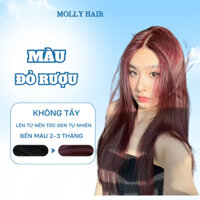 Thuốc Nhuộm Tóc Màu ĐỎ RƯỢU, Không Tẩy - MOLLY HAIR