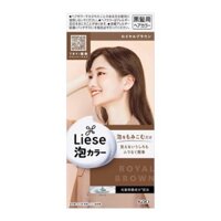 Thuốc nhuộm tóc tạo bọt Liese Prettia Kao Nhật Bản (hàng nội địa Nhật kèm bill)
