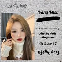 Thuốc nhuộm tóc VÀNG KHÓI  không cần thuốc tẩy tóc