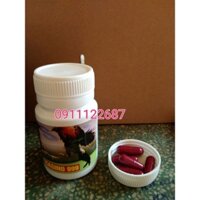 Thuốc nuôi gà đá trị lỏn lẻn, rót CASINO 999 (combo 2chai)
