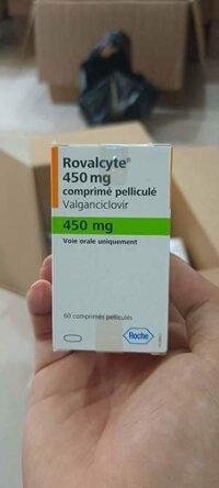 Thuốc Rovalcyte Valganciclovir giá bao nhiêu? Hộp 60 viên