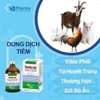 Thuốc thú y FLODOX INJ chai 100ml trị hô hấp hen khẹc suyễn trên chó mèo dê bò gia câm VB Pharma