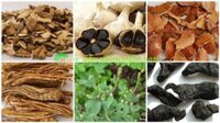 Thuốc trị đau nhức xương khớp – Bài thuốc 4