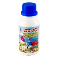 Thuốc trị nấm cho cá cảnh AV70