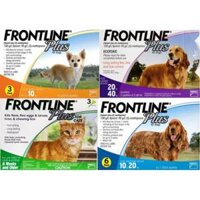 Thuốc trị ve chó frontline plus (dành cho cả mèo) - LUCKY PET SHOP