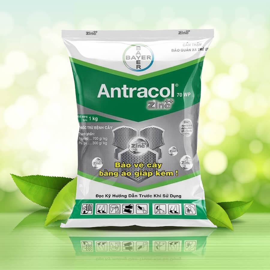 Thuốc trừ bệnh Antracol 70wp 1kg