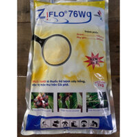 Thuốc Trừ Bệnh Cây Trồng ZiFLO 76 WG (1kg/gói)
