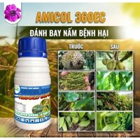 Thuốc trừ bệnh cây trồng Amicol 360EC hiệu Tilt Gold 240ml