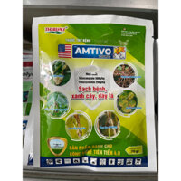 Thuốc trừ bệnh cây trồng Amtivo 750WG gói 70g
