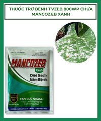 Thuốc trừ bệnh TVZEB 800WP chứa MANCOZEB Xanh