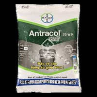 Thuốc Trừ Nấm Bệnh Cây Trồng Antracol (70WP)